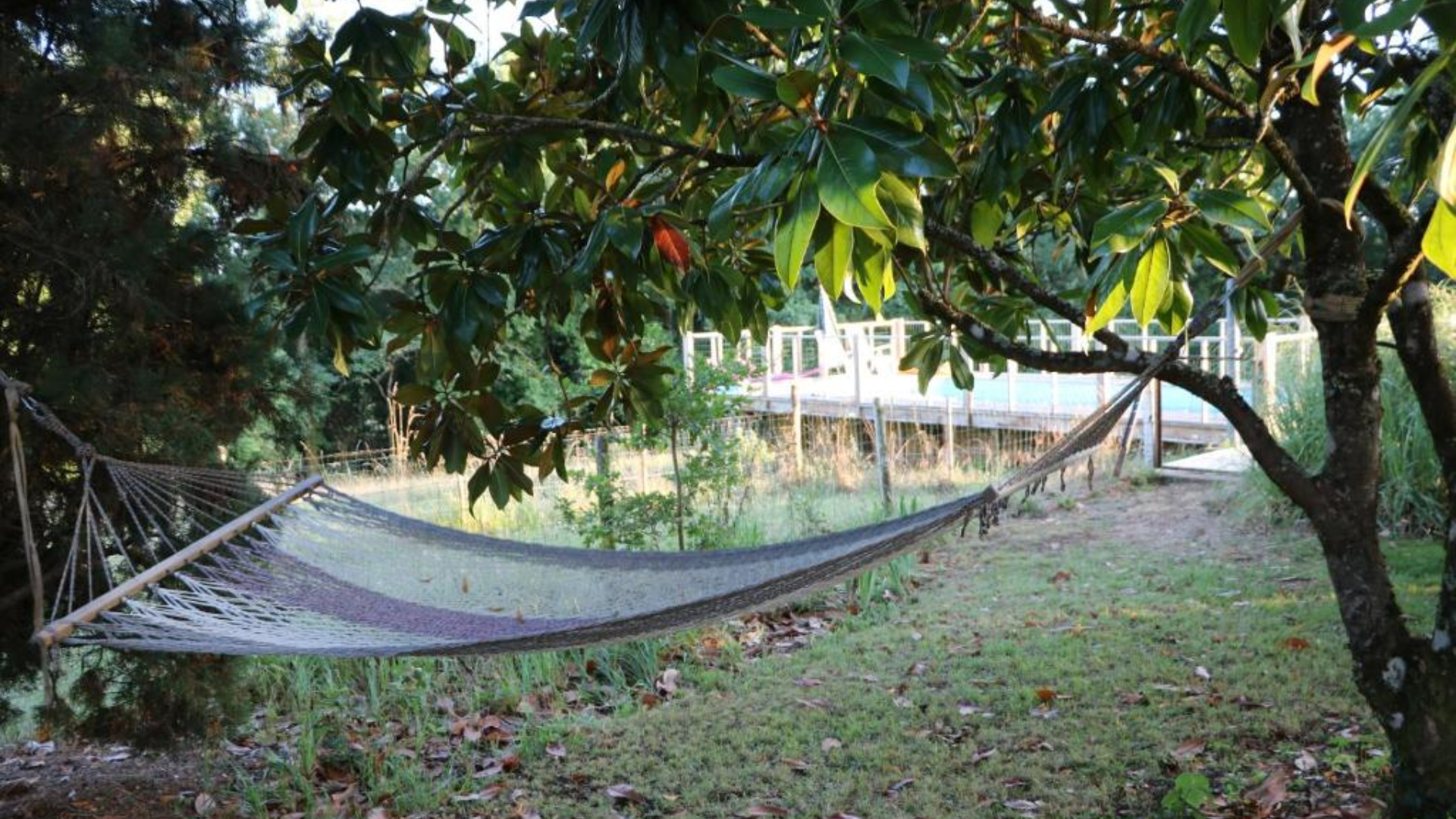 Gîte avec Hamac dordogne
